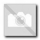 BOSCH Część zamienna do GWS 15 - 125 CIH - SPRĘŻYNA DOCISKOWA  nr. 20 Kod: 3 604 611 039