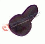 DeWALT Część zamienna do DW682K- Śruba Nr. 18 Kod: 330045-43