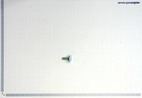 BOSCH Część zamienna do GKS 190-Śruba Okrągła Płaska nr.78 Kod: 1 619 P06 211