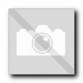 BOSCH Część zamienna do GSC 12V-13-TABLICZKA ZNAMIONOWA Nr.808 Kod: 3 601 119 908