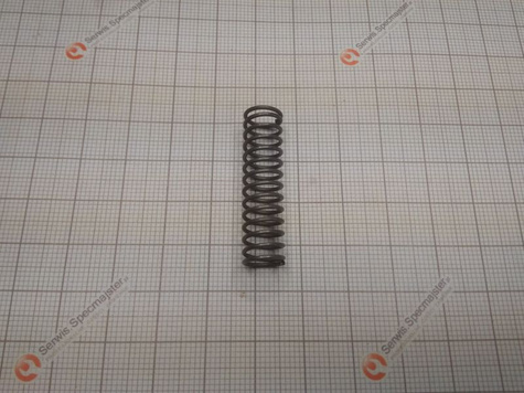 BOSCH Część zamienna do ARM32E- Sprężyna dociskowa nr. 75/11 Kod: F 016 T49 226 (Produkt Wycofany)