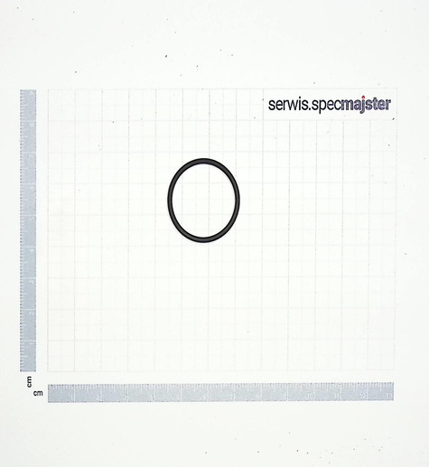 BOSCH Część zamienna do AQUATAK 150 PRO X- O-ring nr. 1/8/53 Kod: F 016 F03 564