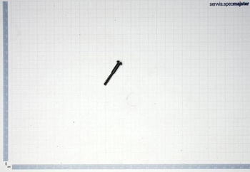 BOSCH Część zamienna do GWS 15-125 CIE - Wkręt Soczewkowy Torx 4x30 nr. 54 Kod: 1 603 414 026