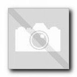 BOSCH Część zamienna do GKS 55 - ŚRUBA Z ŁBEM PŁASKIM M6x170 MM nr. 57 Kod: 1 603 434 005 (Produkt Wycofany)