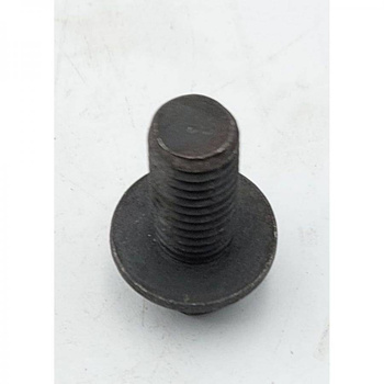 DEDRA Część zamienna do DED7728- Śruba Mocująca Tarczę, Stalowa, Łepek Sześciokątny nr.22 Kod: XDED7728.022