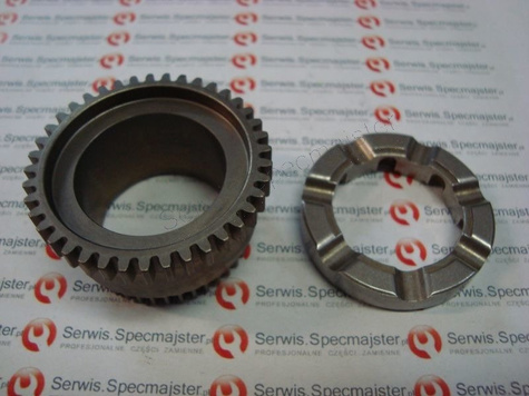 BOSCH Część zamienna do PBH 3000-2 FRE- Koło zębate czołowe nr. 22 Kod: 1 616 312 006 ( 1 617 000 A41 )