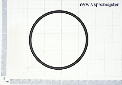 BOSCH Część zamienna do AQUATAK 100 PLUS- O-ring Nr. 1/12/10 Kod: F 016 F04 063