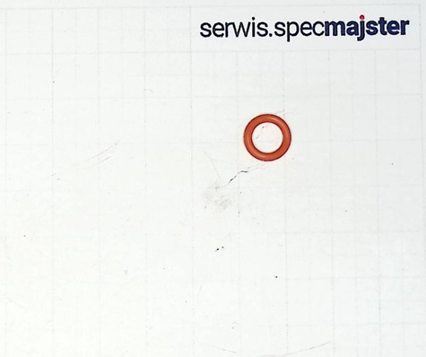 BOSCH Część zamienna do AQUATAK CLIC 125- Oring nr.1/1/9 Kod:F 016 F03 926