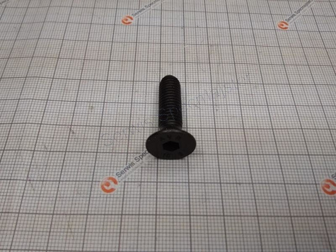 BOSCH Część zamienna do AQUATAK 1500X- Śruba M8x30 nr. 1/8/132 Kod: F 016 F03 088