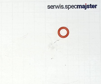 BOSCH Część zamienna do AQUATAK CLIC 125- Oring nr.1/1/9 Kod:F 016 F03 926