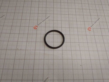 BOSCH Część zamienna do PWS 6-115- O-ring Ø20,35x1,78mm Nr. 683/2 Kod:   1 600 210 039