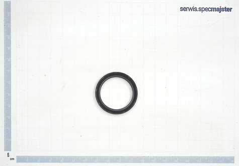 BOSCH Część zamienna do GBH 12-52 DV - Pierścień Uszczelniający nr. 163 Kod: 1 610 210 242