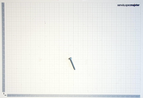 BOSCH Część zamienna do GWS 13-125 CIE - Wkręt Soczewkowy Torx nr. 53 Kod: 1 603 435 078