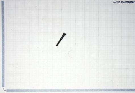 Bosch Część zamienna do GWS 9-115 P-Wkręt Soczewkowy Torx 4x30 nr.54 Kod: 1 603 414 026